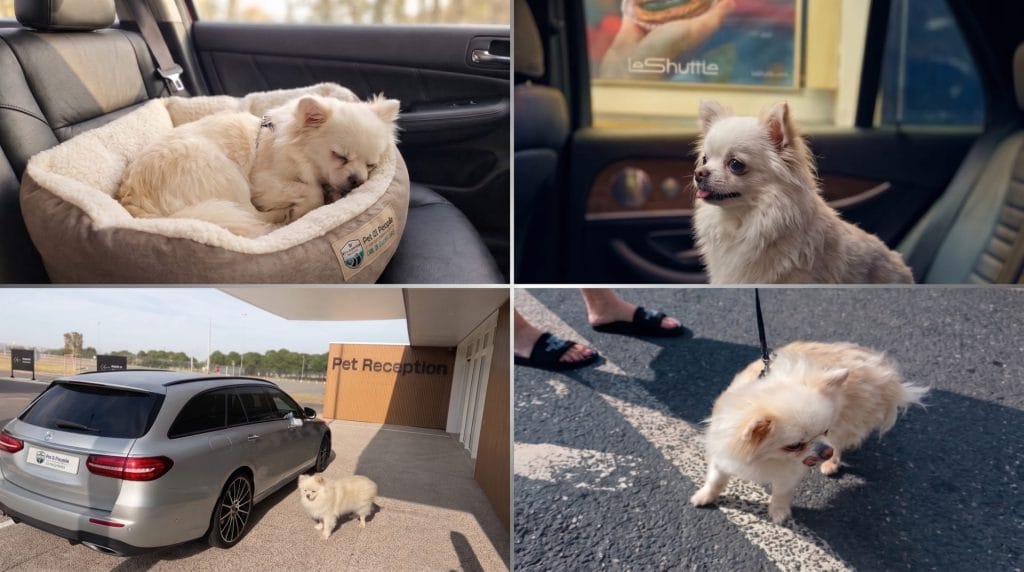 Dexter to Calais - Folkestone 5